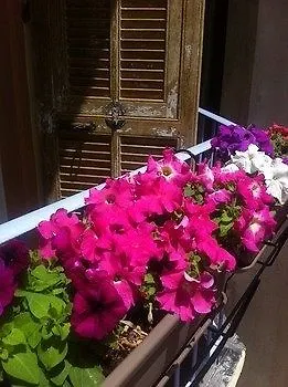 Altea Vandrerhjem Nice